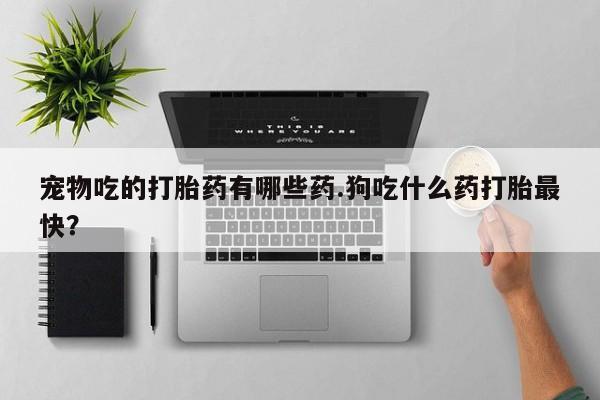 打胎药微信上哪里买宠物吃的打胎药有哪些药.狗吃什么药打胎最快？