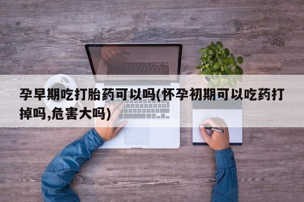 打胎药微信上哪里买孕早期吃打胎药可以吗(怀孕初期可以吃药打掉吗,危害大吗)