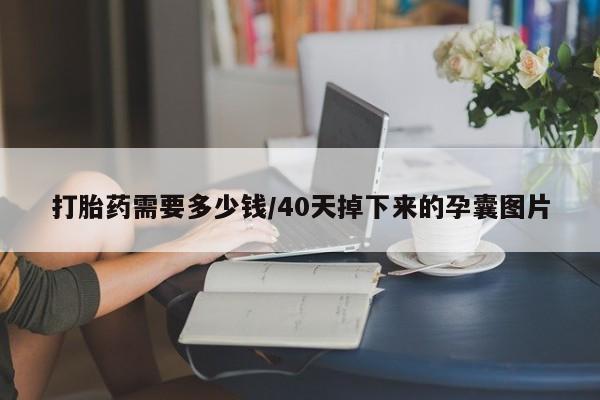 打胎药微信上哪里买打胎药需要多少钱/40天掉下来的孕囊图片